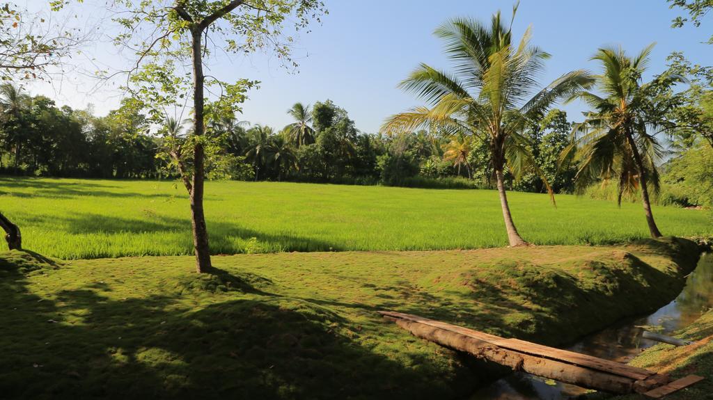 Miracle Resorts & Villas Polonnaruwa Exteriér fotografie