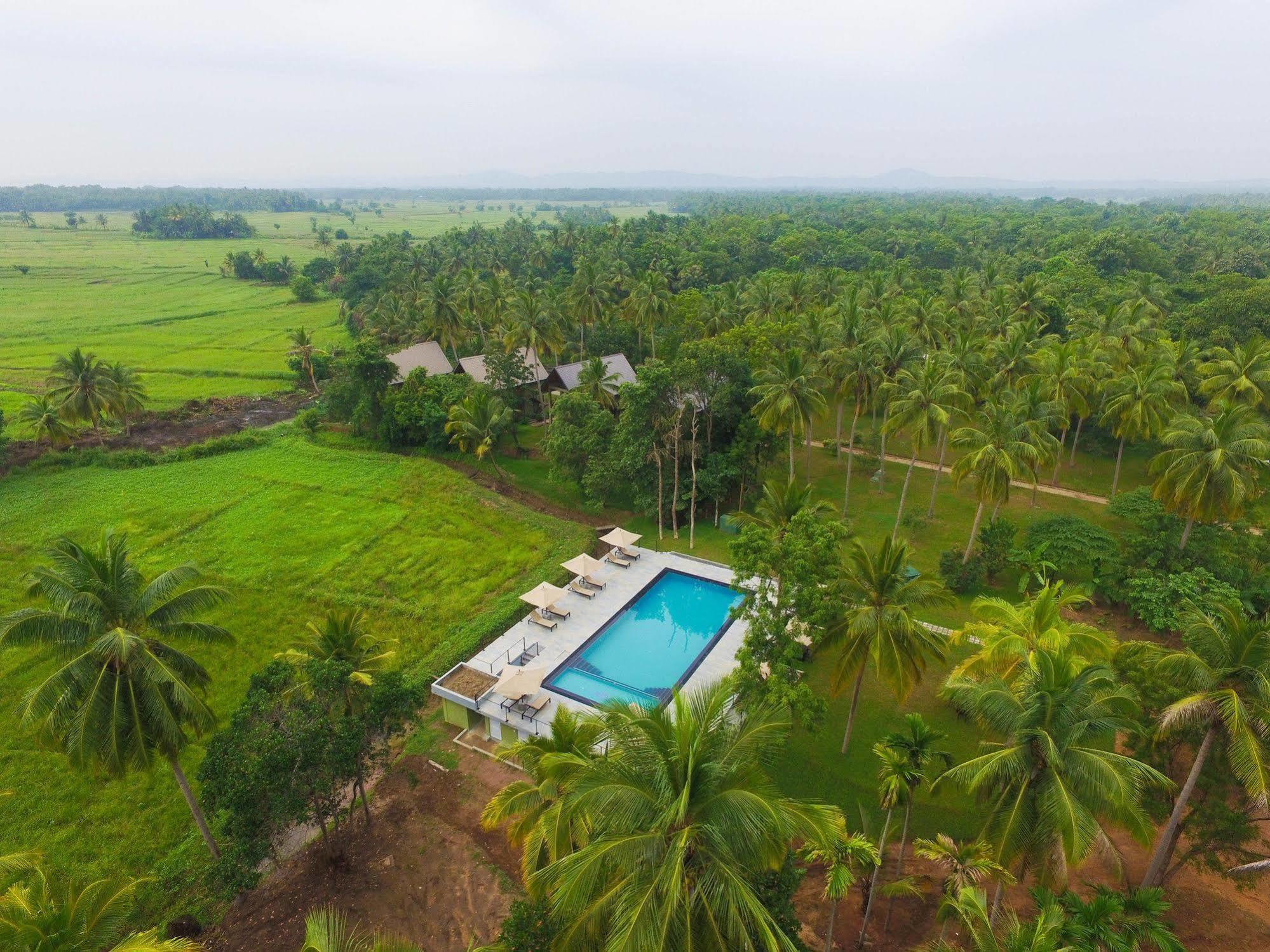 Miracle Resorts & Villas Polonnaruwa Exteriér fotografie